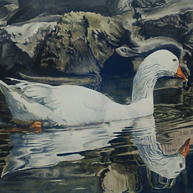 Белая птица