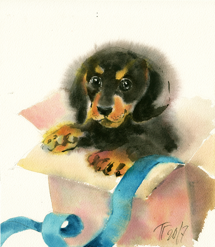 Собака Малыша