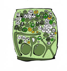 Горох (из серии-жизнь в банке)