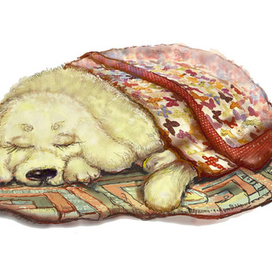 спящий щенок