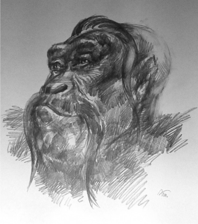 Древний Укр-3