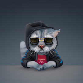 Кот игроман