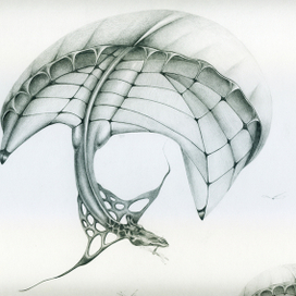 летающий жираф 