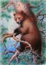 Медвежонок.