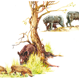 иллюстрация к природоведению