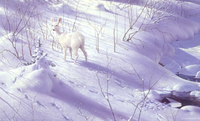 Зимнее привидение