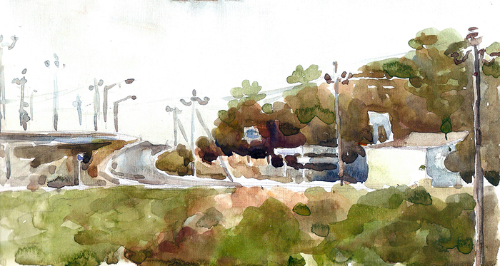 Лесопосадка. Вид на дорогу