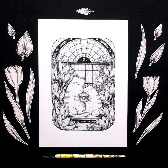 Влюбленные коты