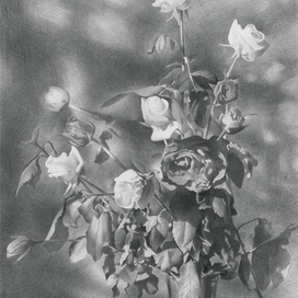 Натюрморт с розами