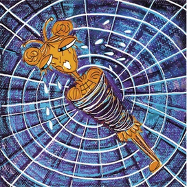 Муха Цокатуха