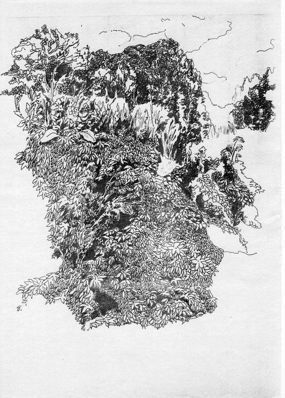 В овраге.Заросли