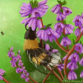 Пчёлка на вереске