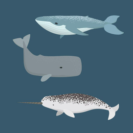 Морская иллюстрация с китами