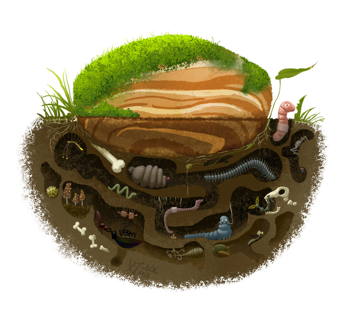 Под лежачим камнем (без текста)