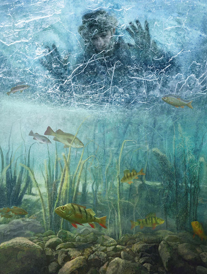 Прозрачный лёд