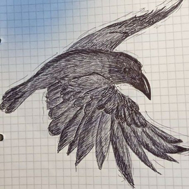 Ворон, из произведения "Крабат, и легенды старой мельницы"