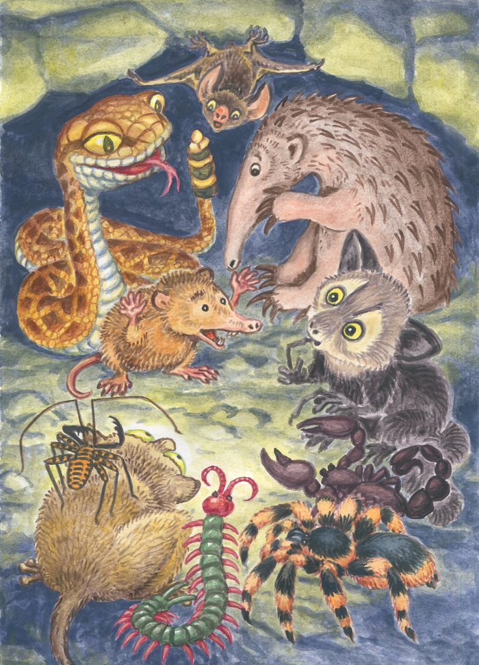 Страшилки на ночь.