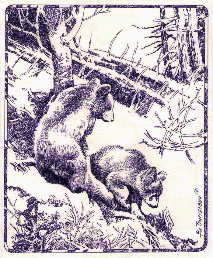 В глухих дебрях..