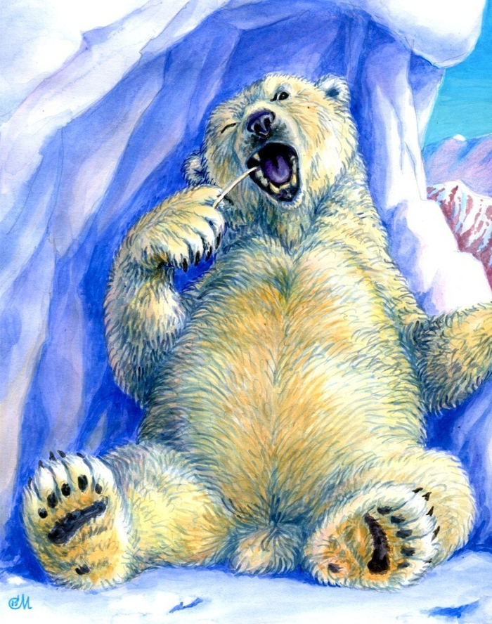 Я белый медведь