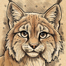 Иллюстрация для книги