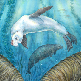 Что за странные создания?