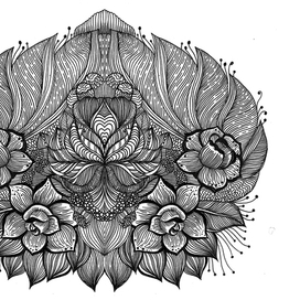 графика отражение