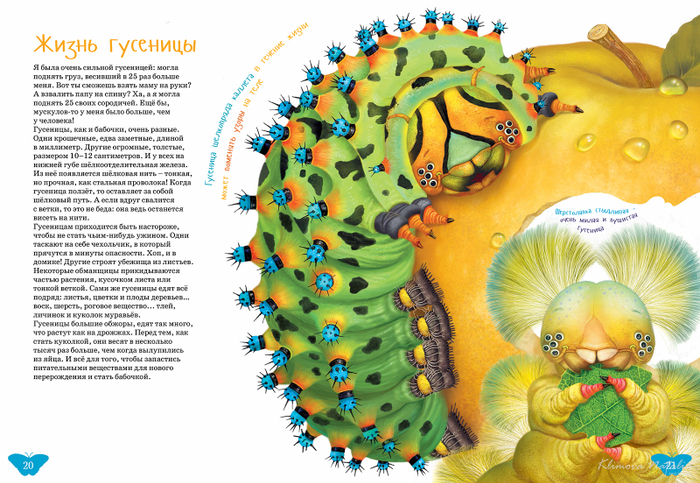 иллюстрация к книге "Я бабочка"