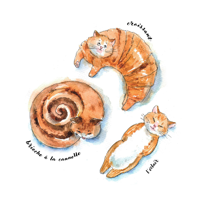 Кото-булочки