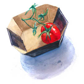 Помидор на ветке