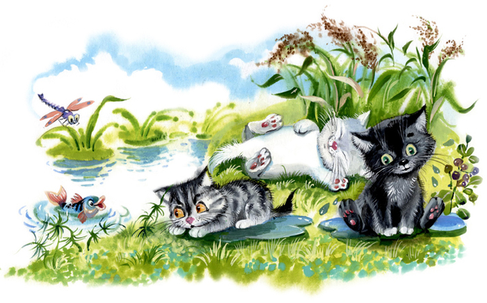 Приключения закончились