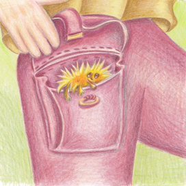 Иллюстрации для авторской сказки «Я в кармане спрятал лето» (Рыбкина Ольга). 