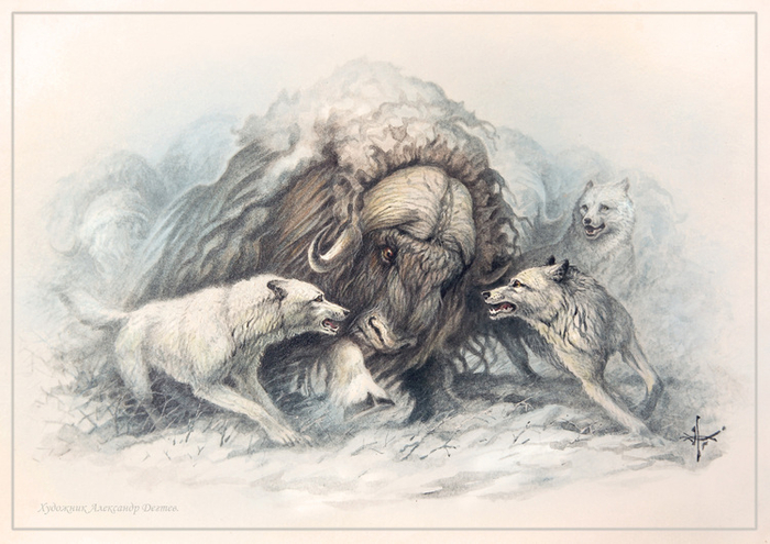 "Не по зубам...!"