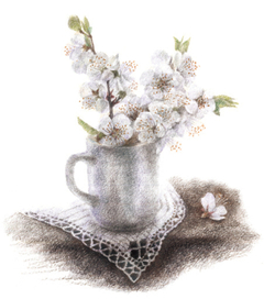 абрикосовый цвет