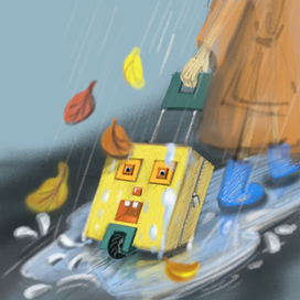 Квадратный чемодан