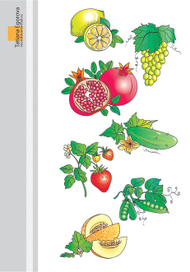 фрукты-овощи