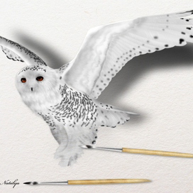 Headwig (Букля)