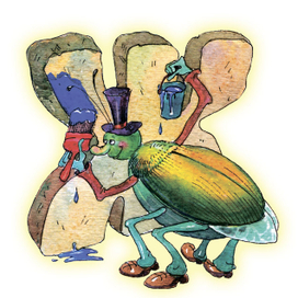 Буква Ж и жук