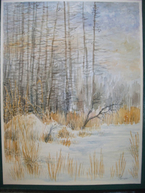 Старая бобровая хата