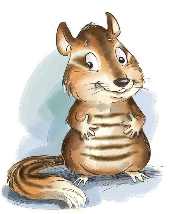 Боцман, бурундук, кот и крыса"