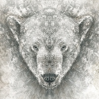 Арктическая тройка