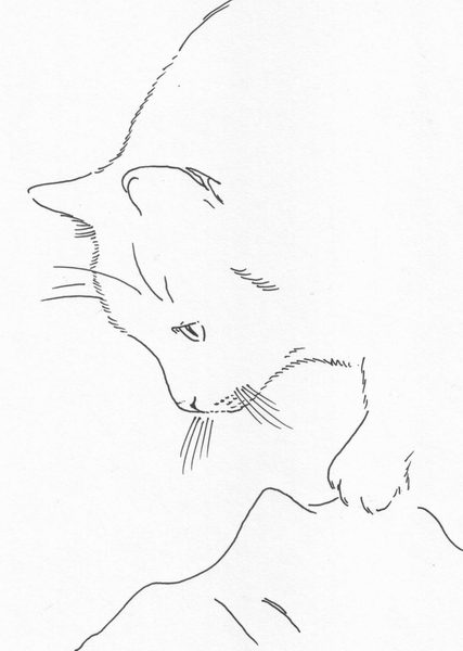 "Доброе утро"