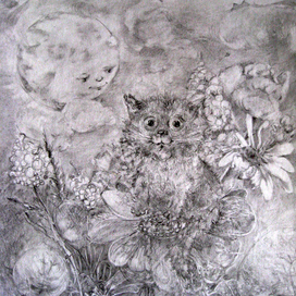 Лунный котенок