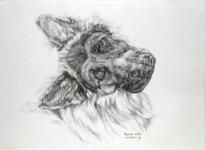 Внимательный Вулкан