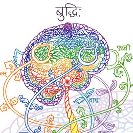 Сознание и духовность