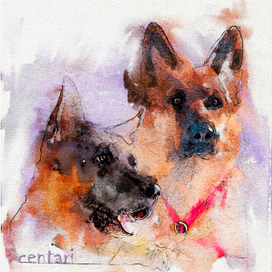 Ункас и Центари