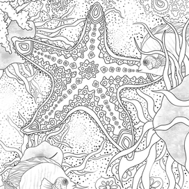 Морская звезда