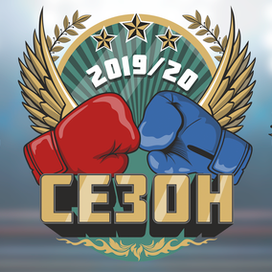 Награды для сайта "Лига бокса России"