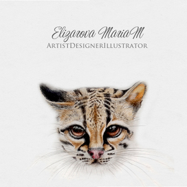 дизайн сайта