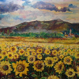 Поле подсолнухов