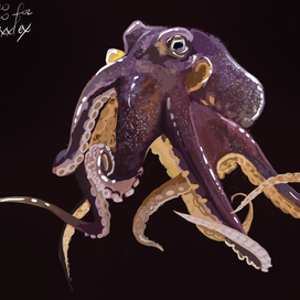 Осьминожка